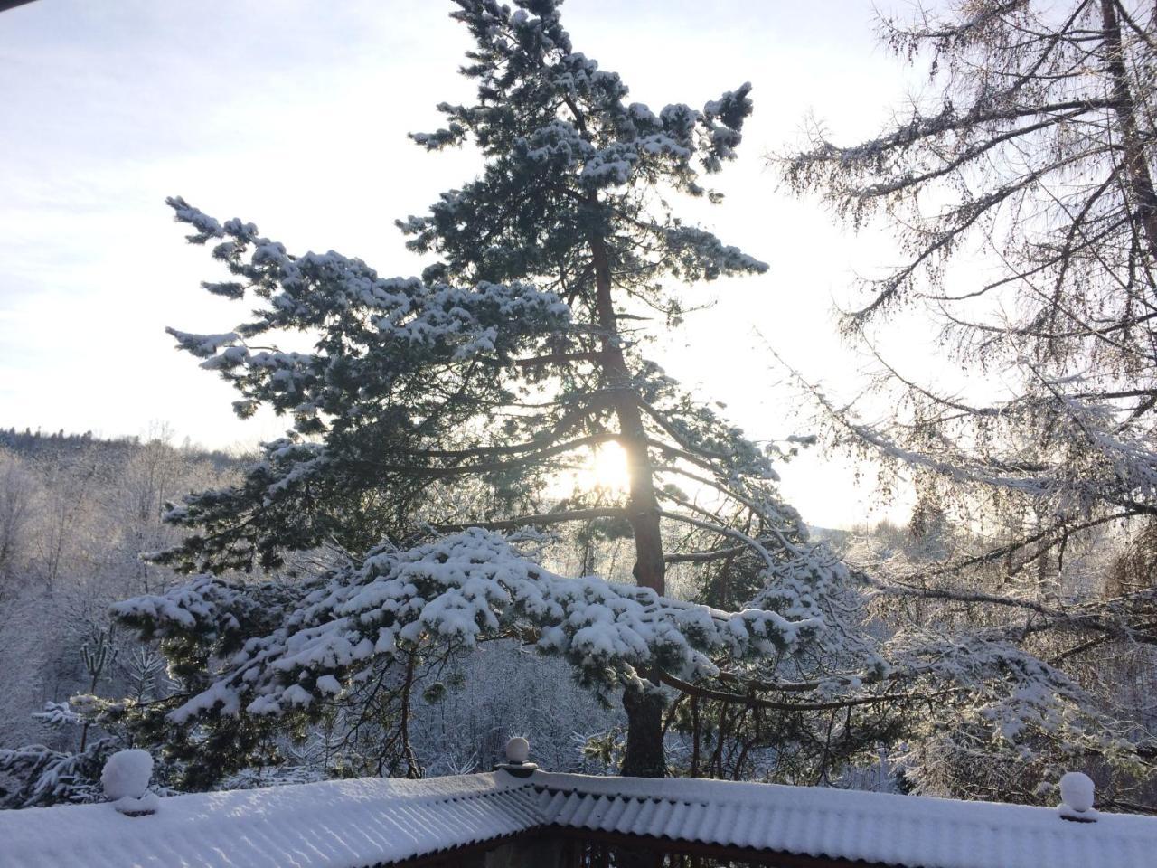 Eco Sadiba Kaskad Otel Velyka Volosyanka Dış mekan fotoğraf