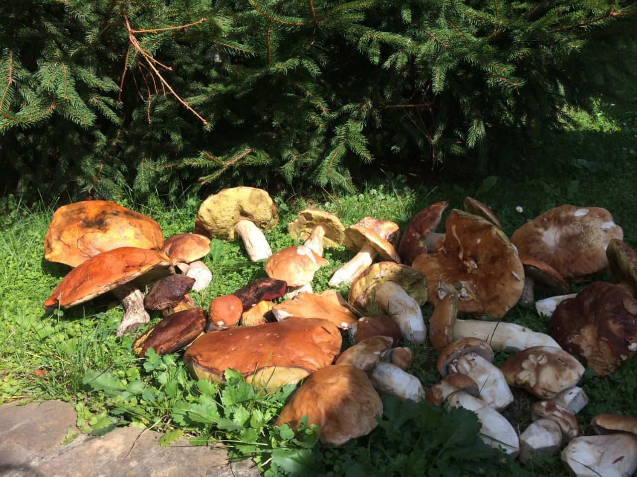 Eco Sadiba Kaskad Otel Velyka Volosyanka Dış mekan fotoğraf